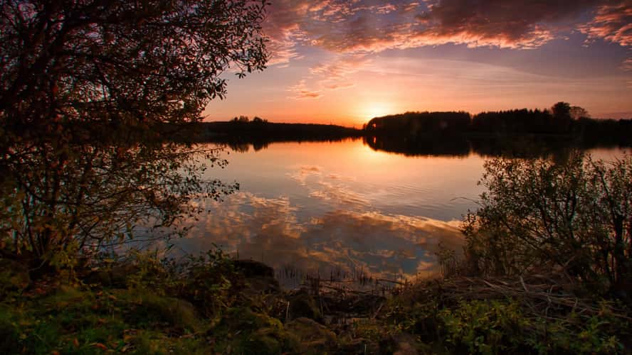 Etangs de la Mutche