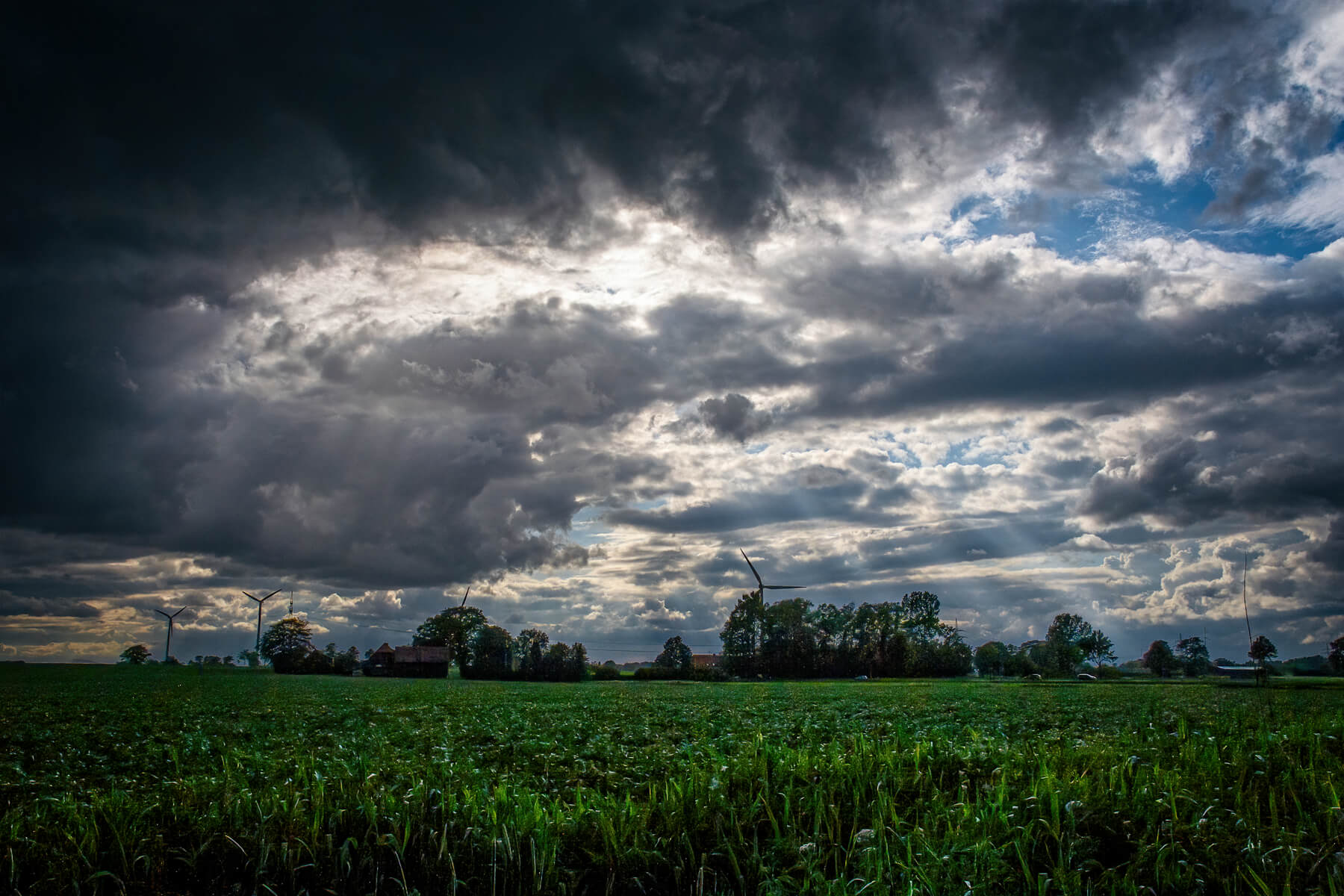 Field near Beedenbostel, Germany