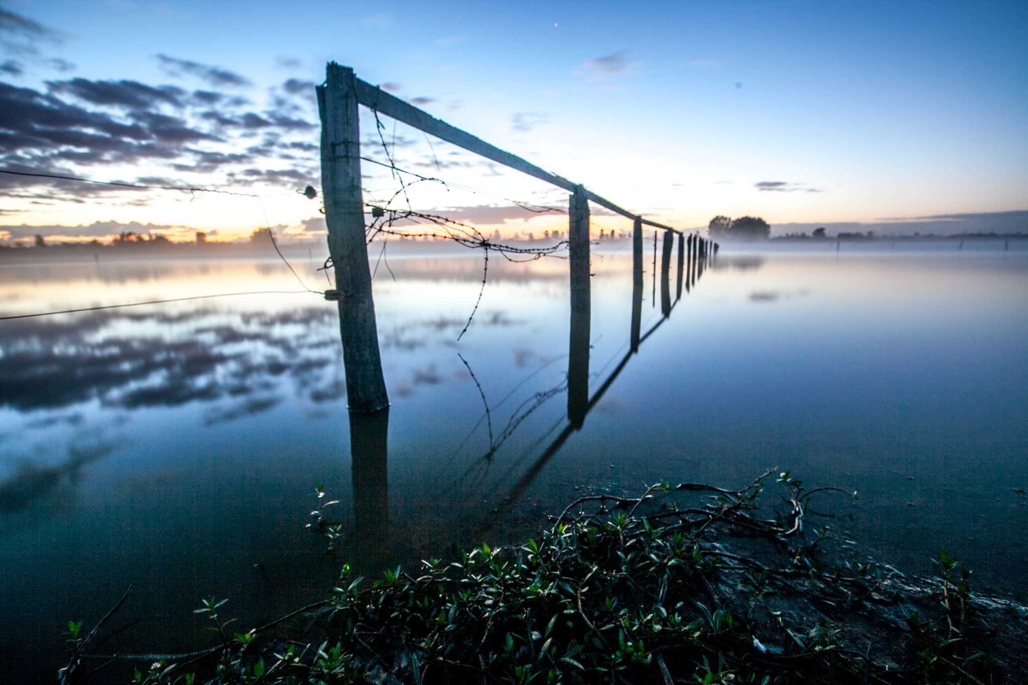 Fog Lifting Bushells Lagoon Freeman's Reach, Australia
