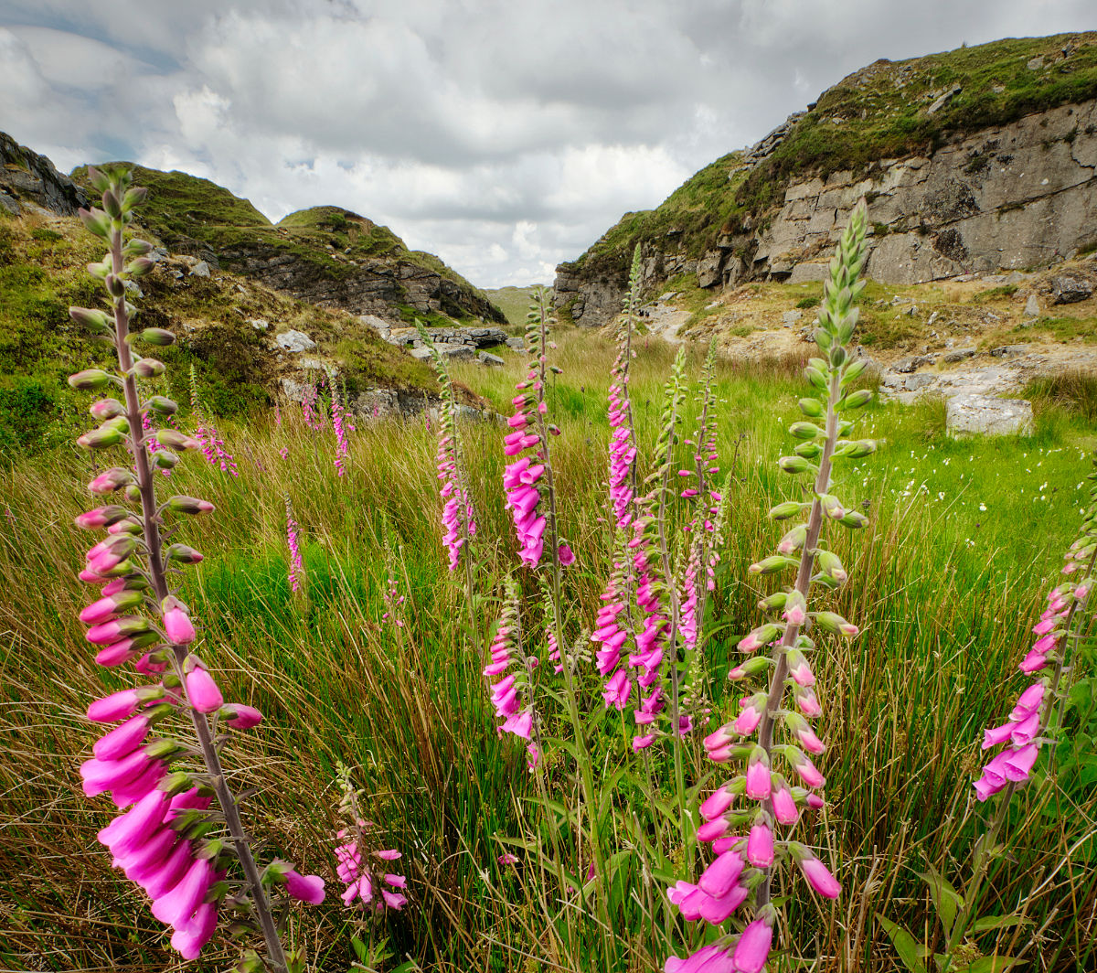Froggintor Quarry, United Kingdom