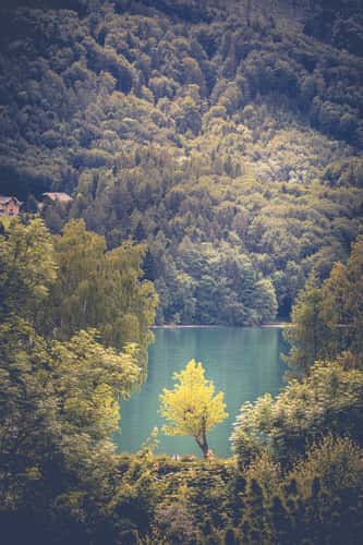 Fuschlsee