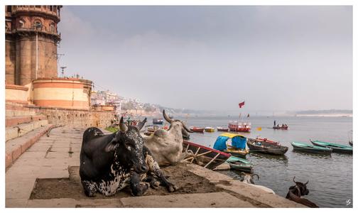 Ghats of Varanasi, Ganga river