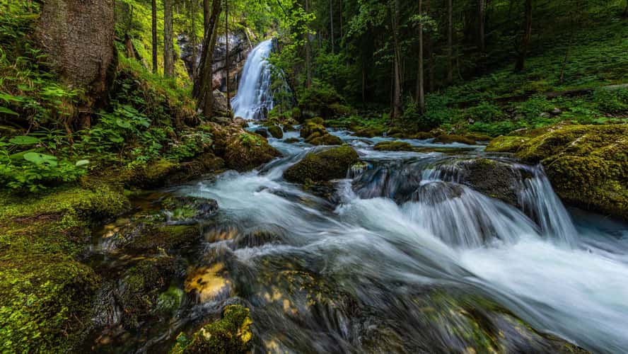 Gollinger Wasserfall (Gollinger Waterfall)