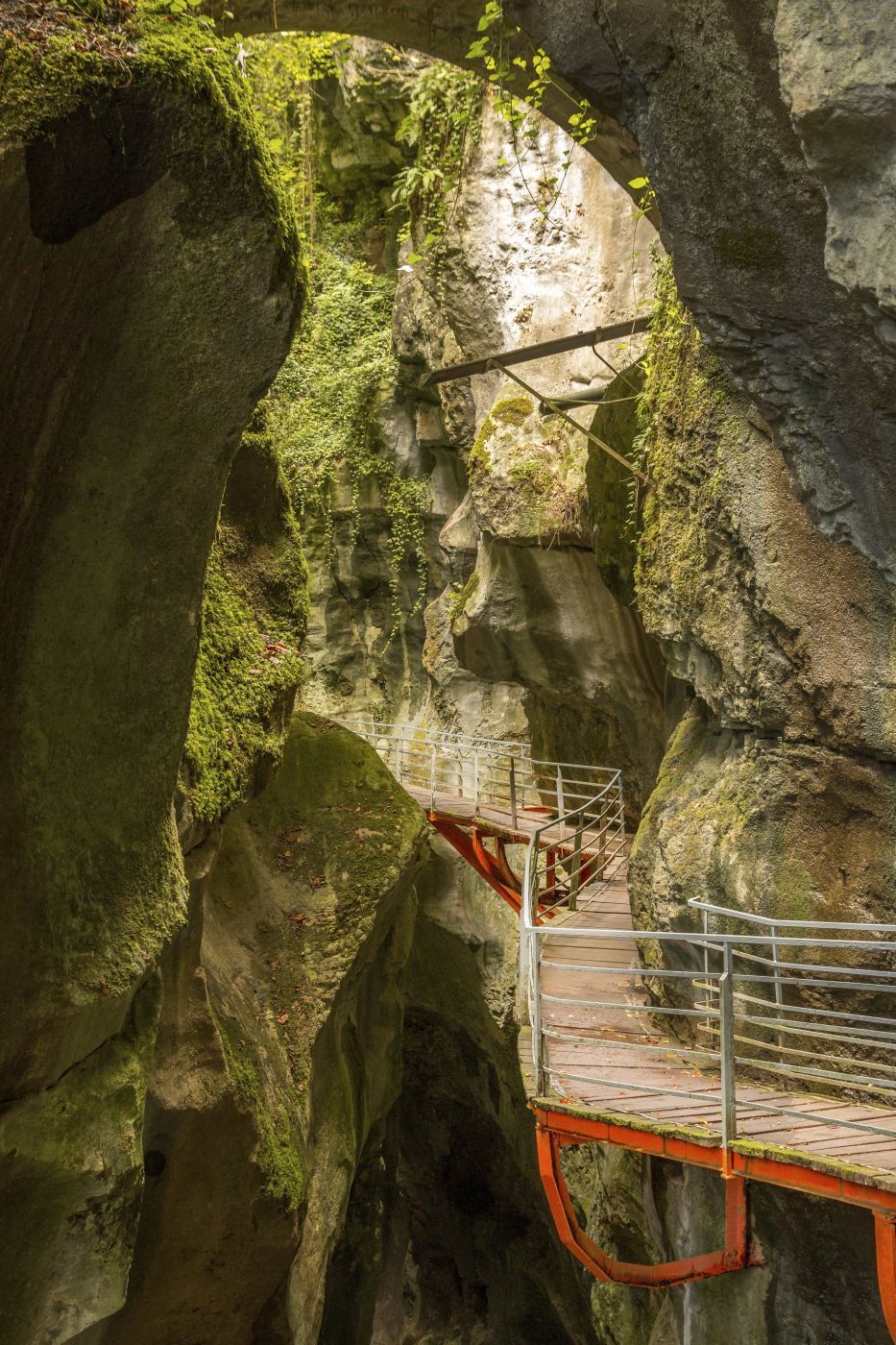 Gorges du Fier, France