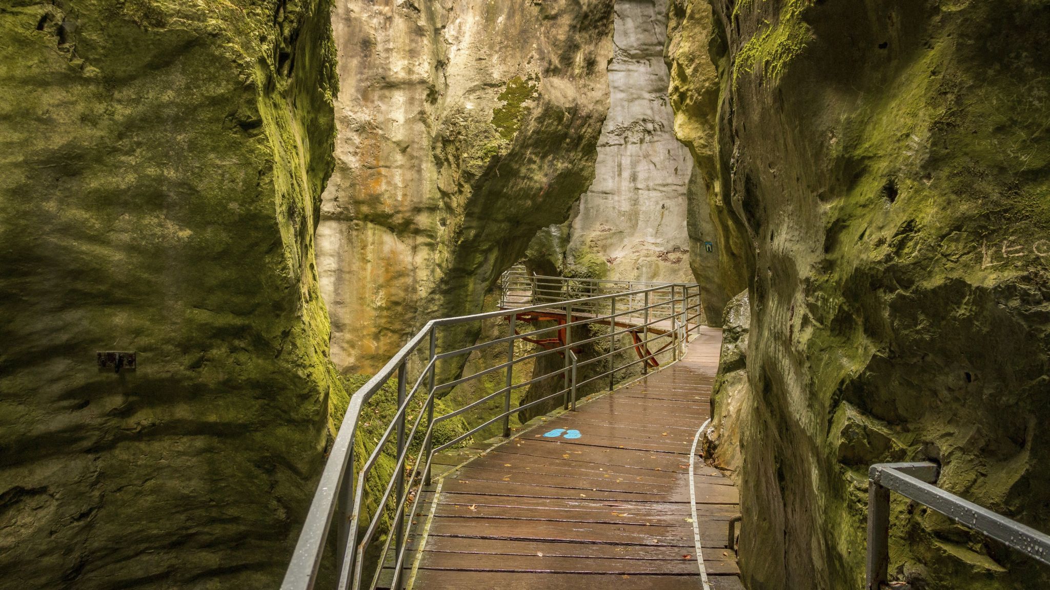 Gorges du Fier, France