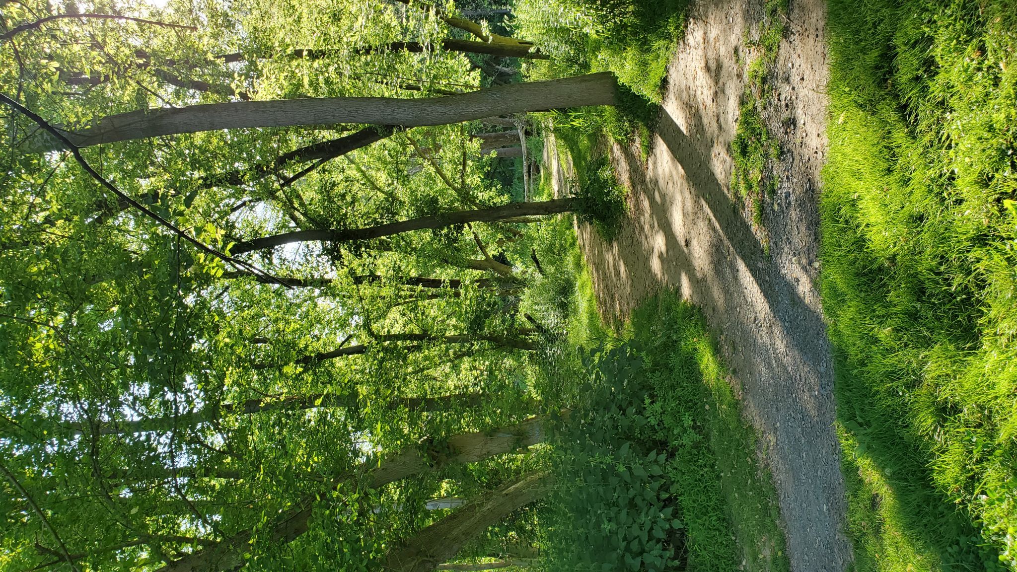Great Seneca Stream Valley Park, USA