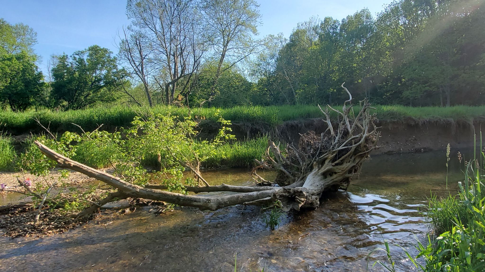 Great Seneca Stream Valley Park, USA