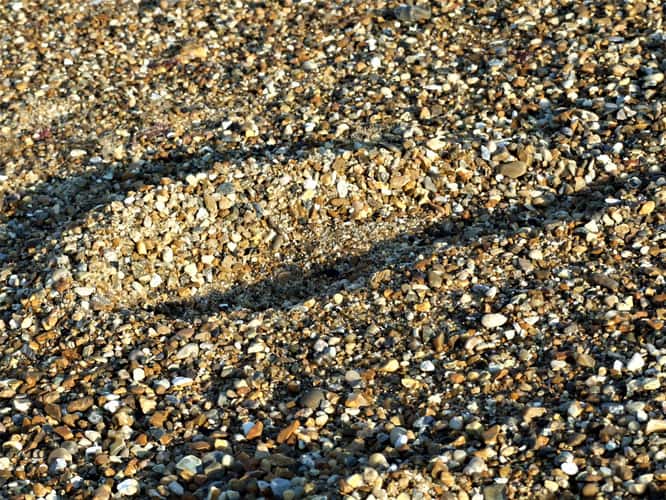 Great Yarmouth Seafront
