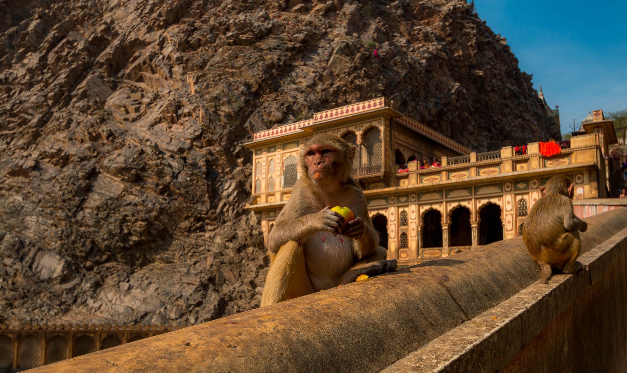 Hanuman Temple  Galtaji, India