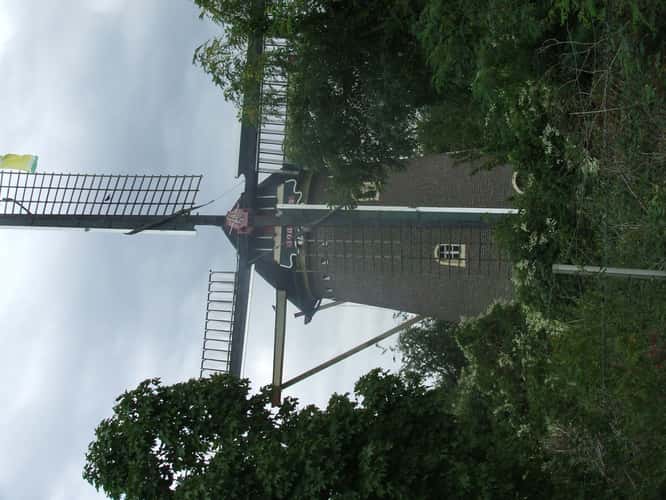 Heuman Bos Windmill