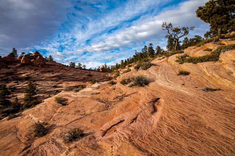 Hoodoo City