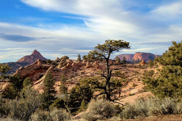 Hoodoo City