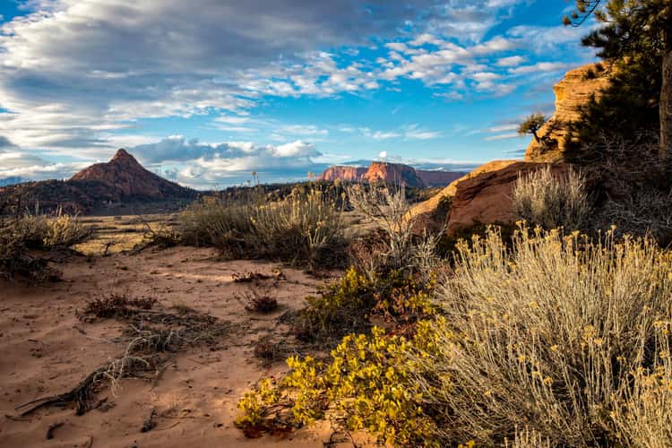 Hoodoo City