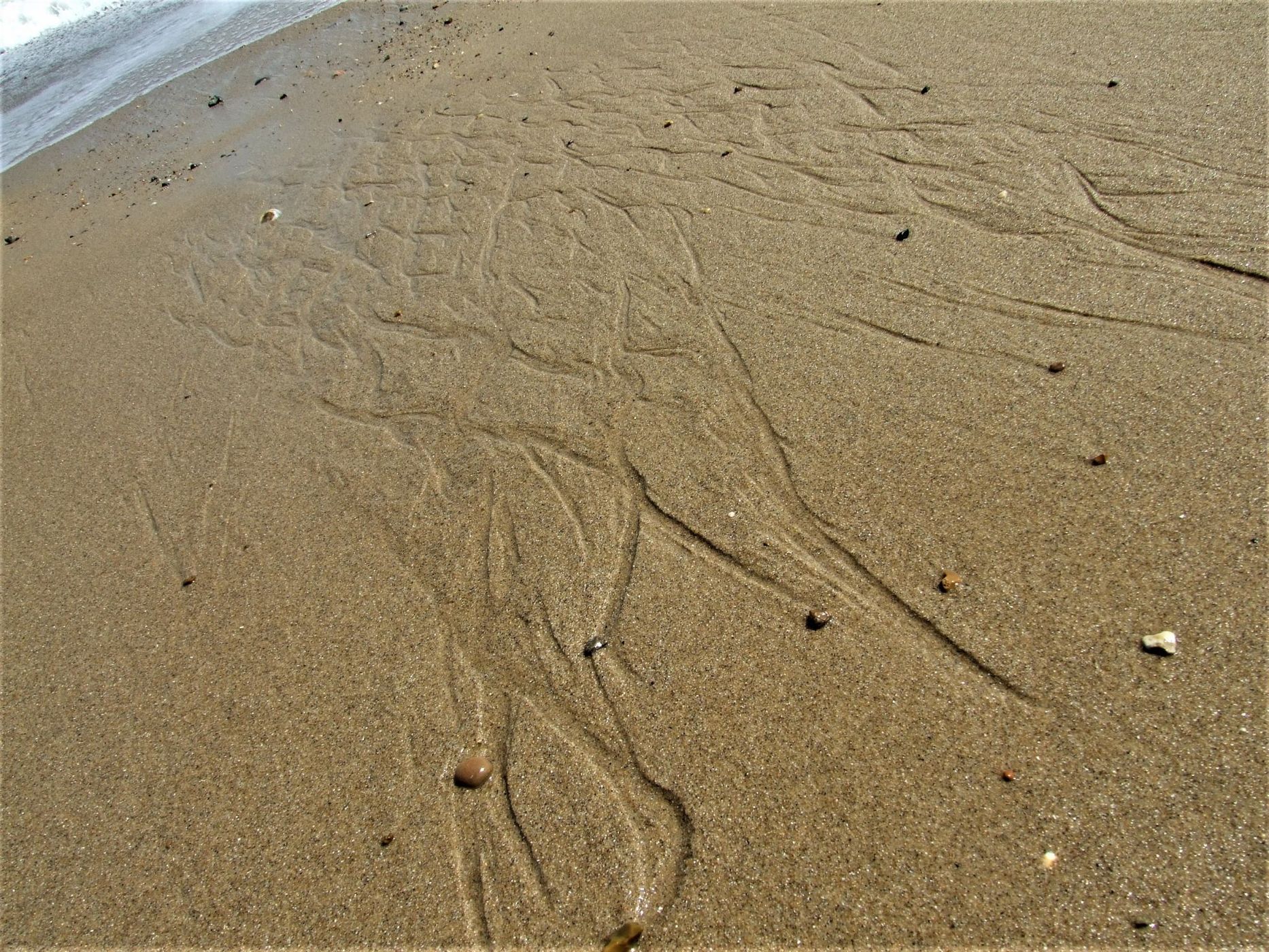 Horsey gap, United Kingdom