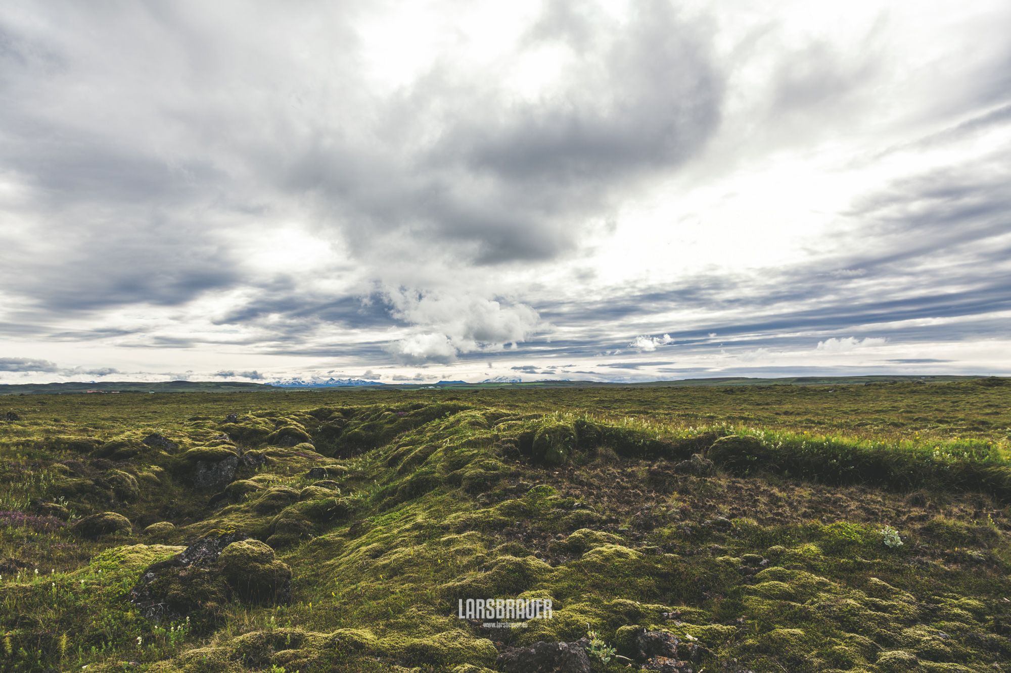 Icelandic Field in front of Hekla Volcano, Iceland