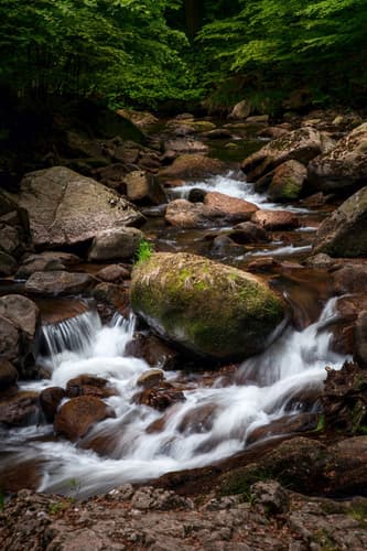 Ilsefälle, Harz