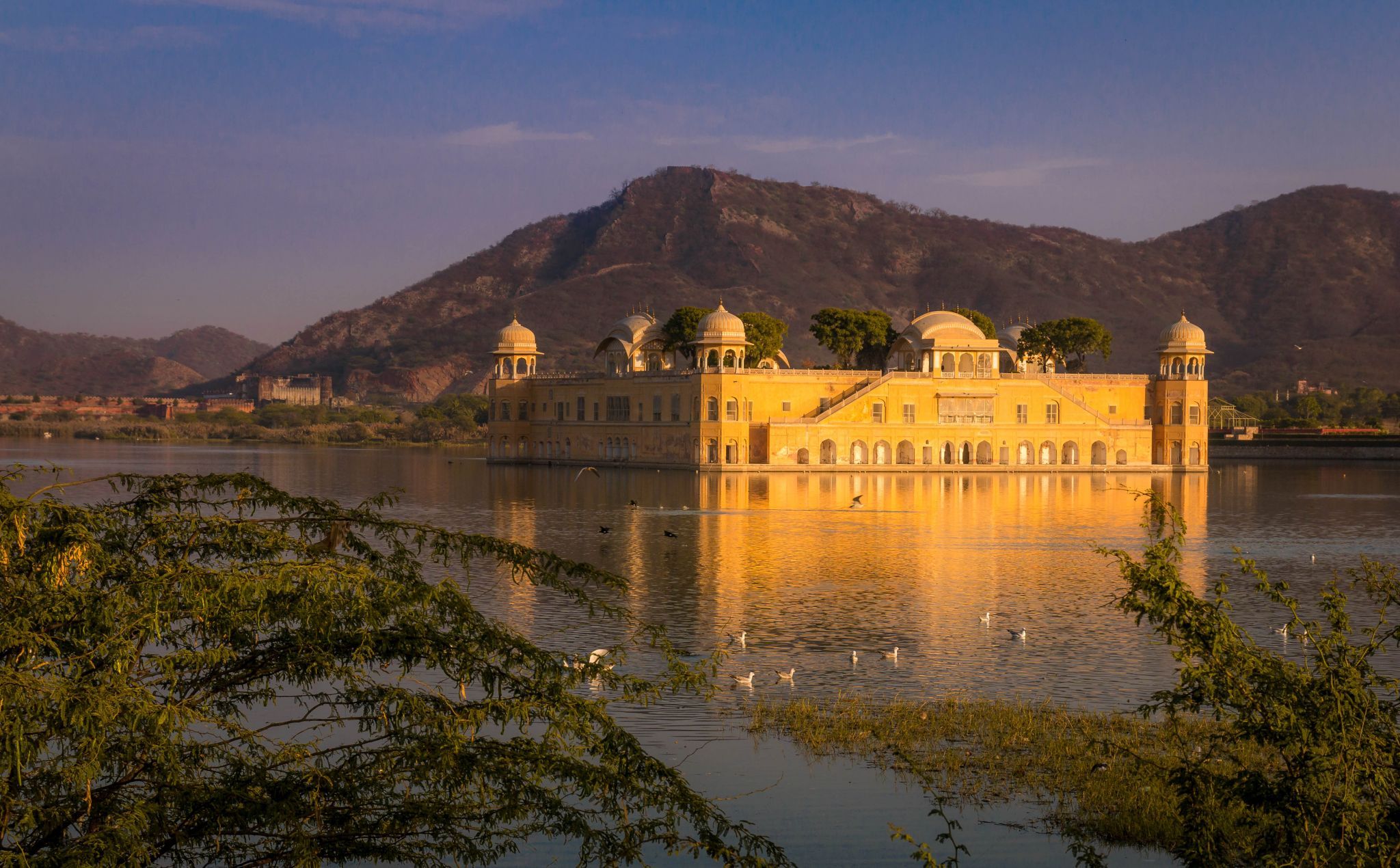 Jal Mahal, Jaipur, India