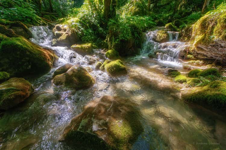 Kot Waterfalls
