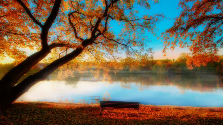 Lac de Creutzwald