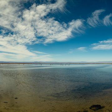 Laguna Puilar, Chile
