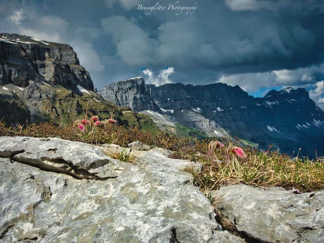 Landscape Klausenpass