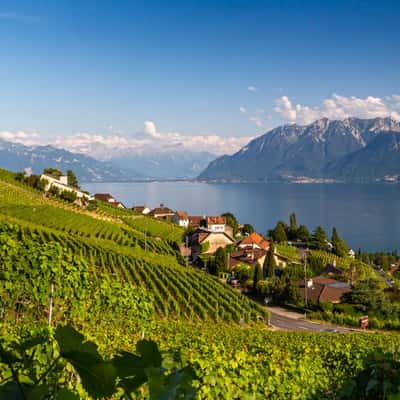 Lavaux panorama, Switzerland