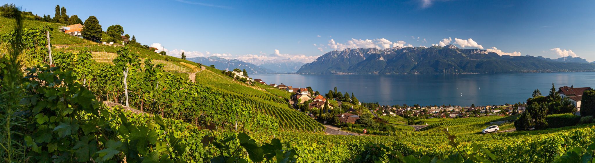 Lavaux panorama, Switzerland