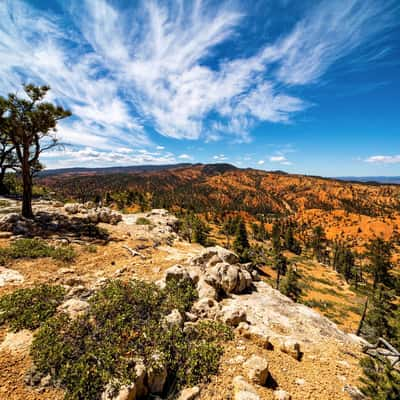 Ledge Point, USA