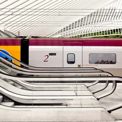 Liège-Guillemins railway station, Belgium