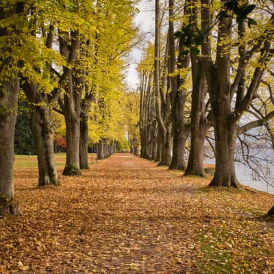 Lindenhofpark, Germany
