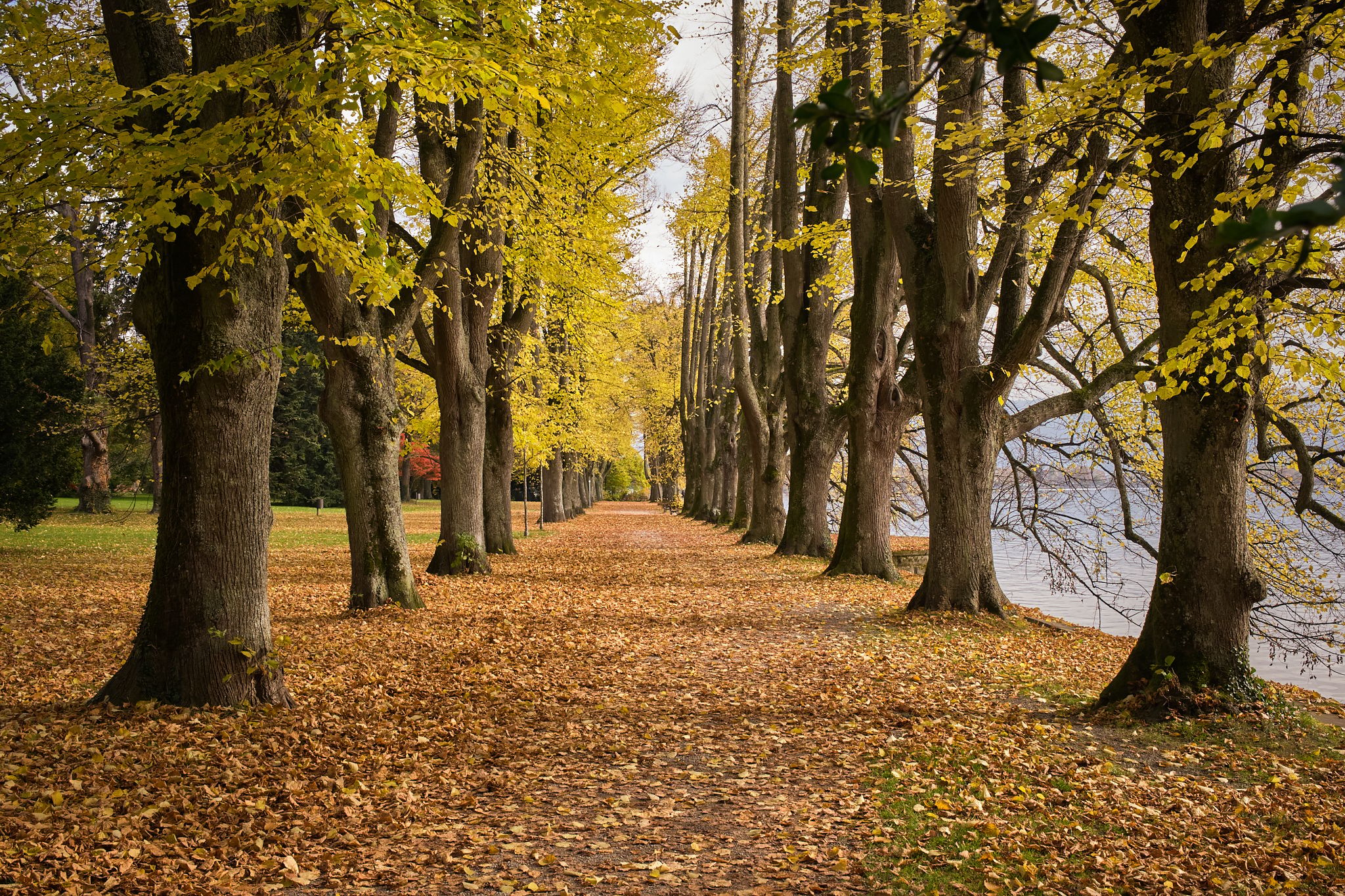 Lindenhofpark, Germany