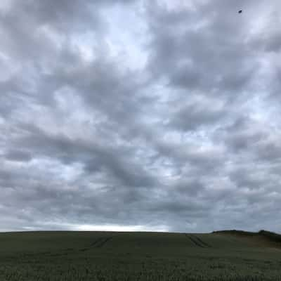 Litlington White Horse, United Kingdom