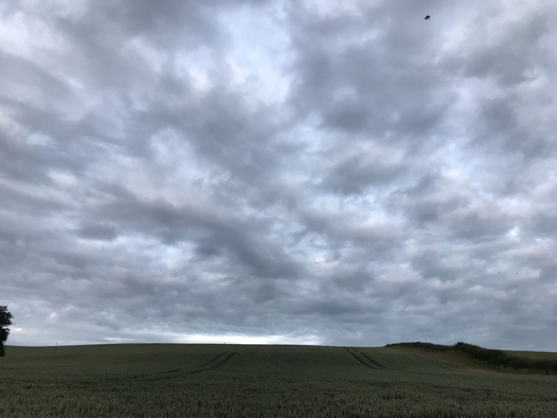 Litlington White Horse, United Kingdom