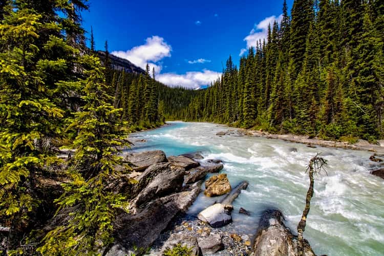 Little Yoho River
