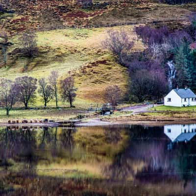 Loch Damh, United Kingdom