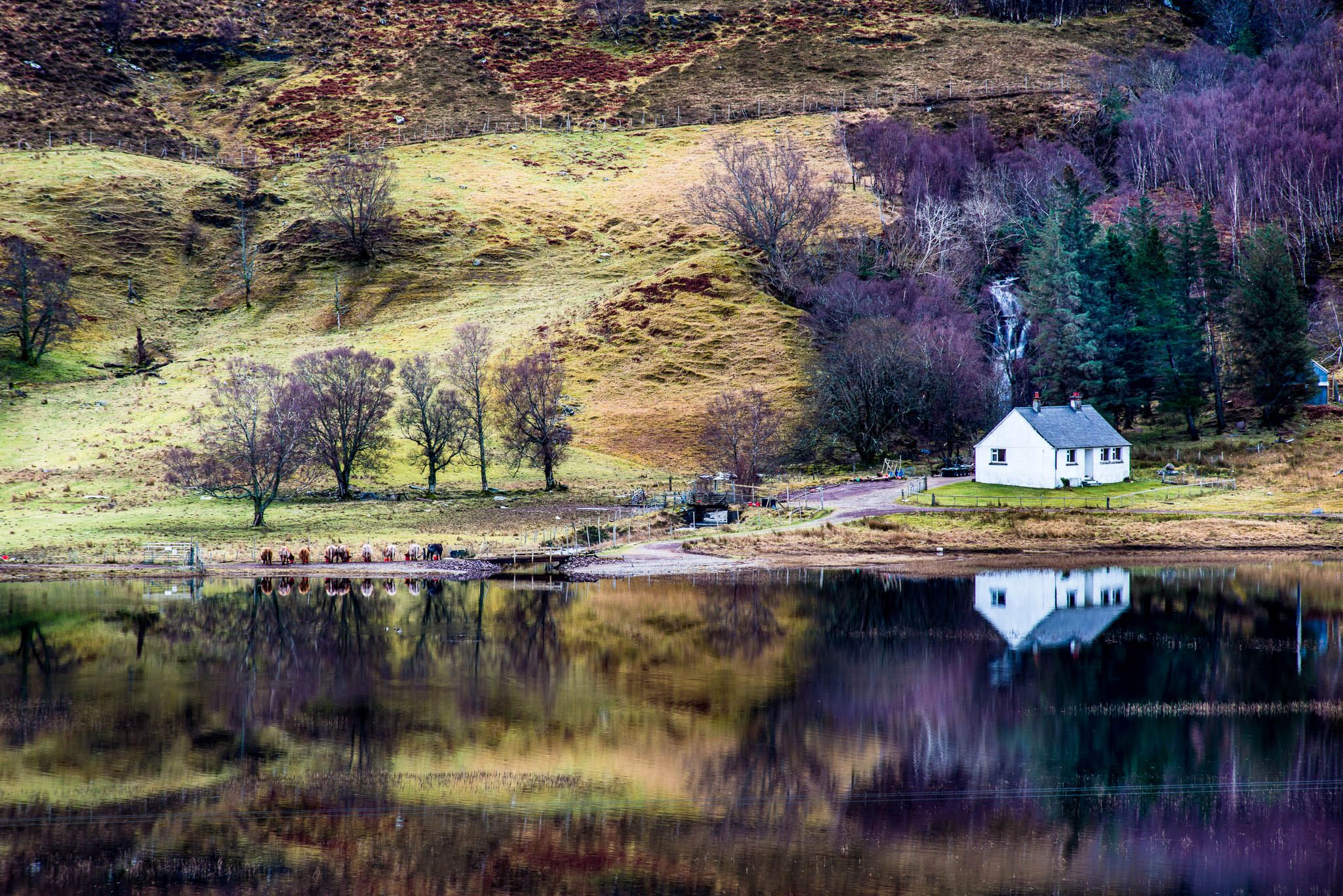 Loch Damh, United Kingdom