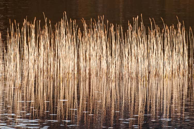 Loch Dubhaird Mor