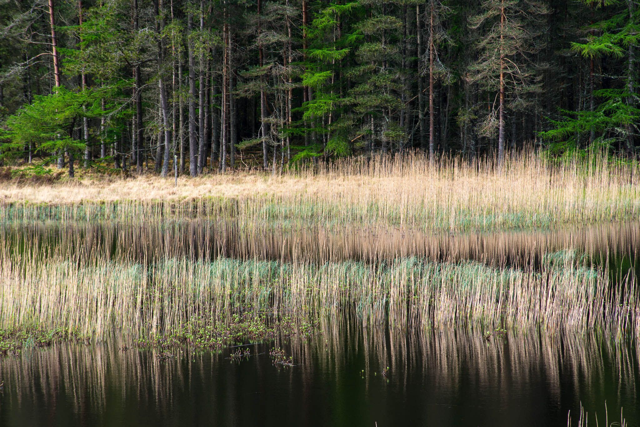 Loch Dubhaird Mor, United Kingdom