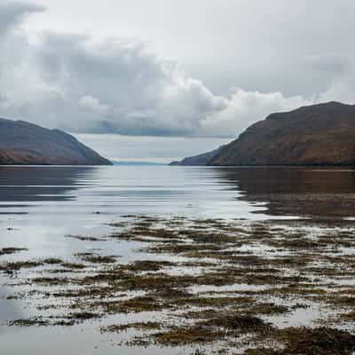 Loch Seaforth, United Kingdom