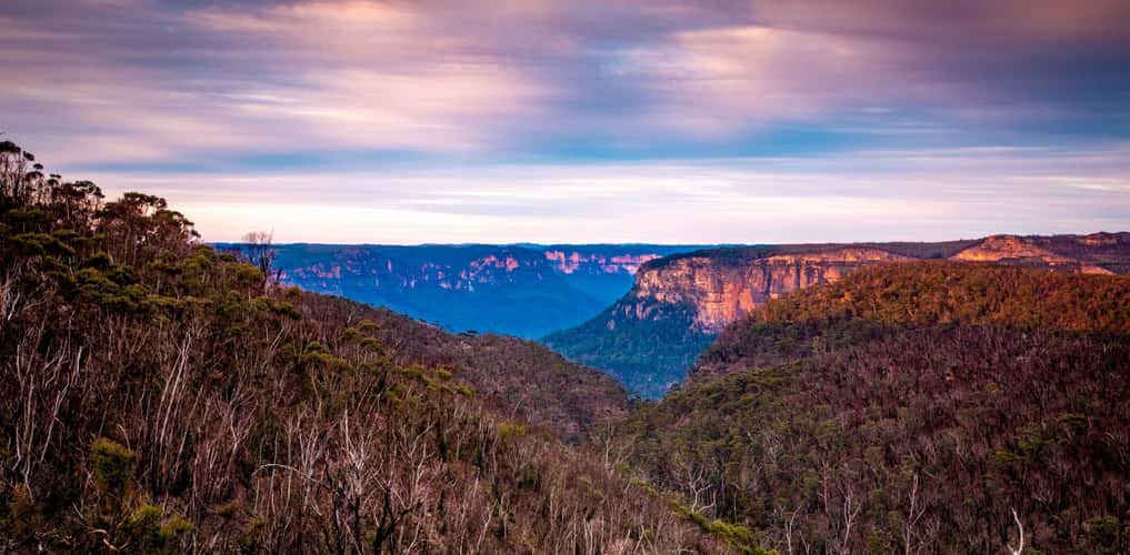 Looking to Mt Banks Blue Mountains New South Wales