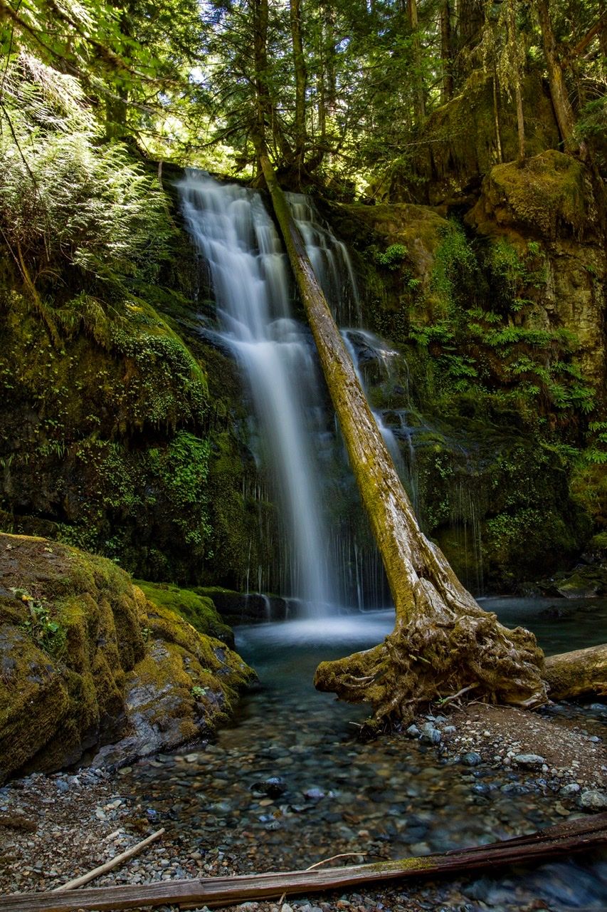 Lower Parker Falls, USA