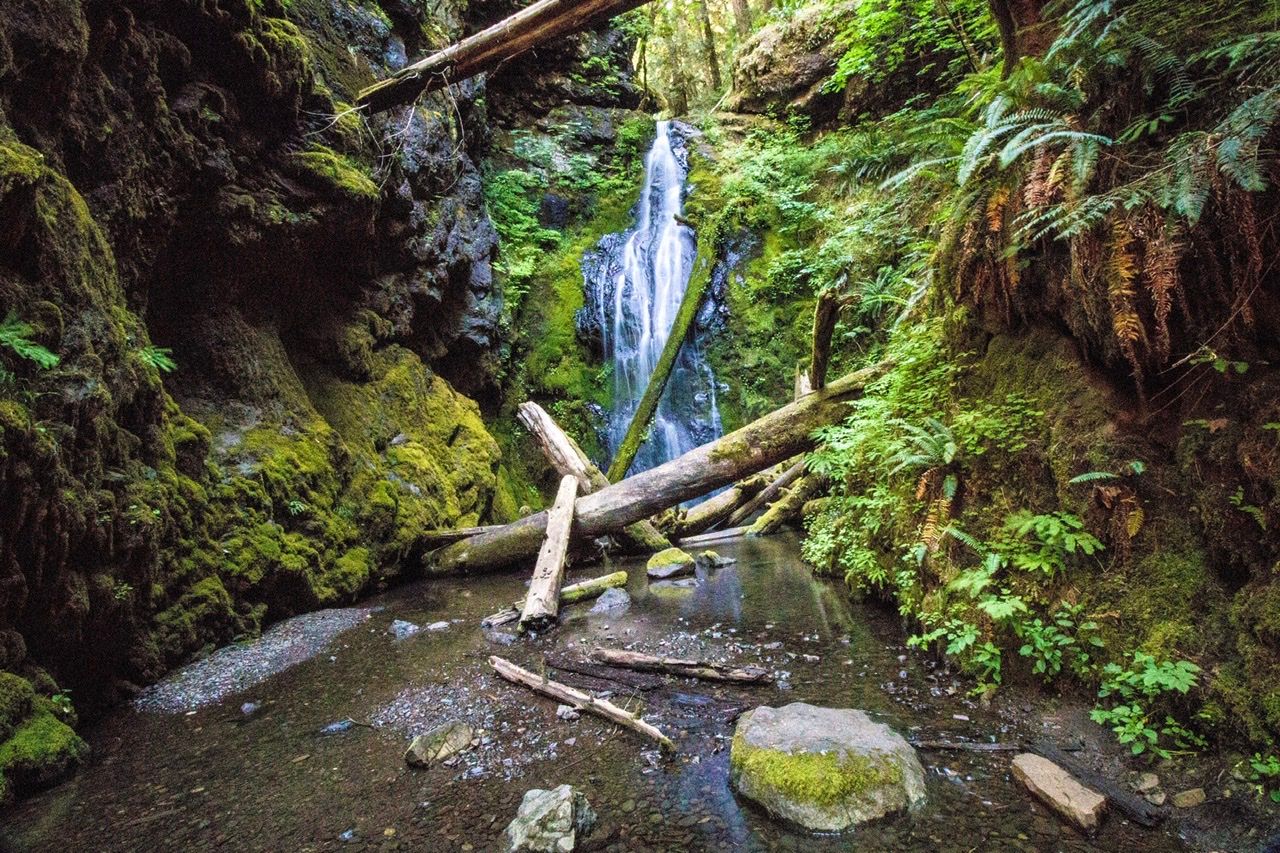 Lower Trestle Creek Falls, USA