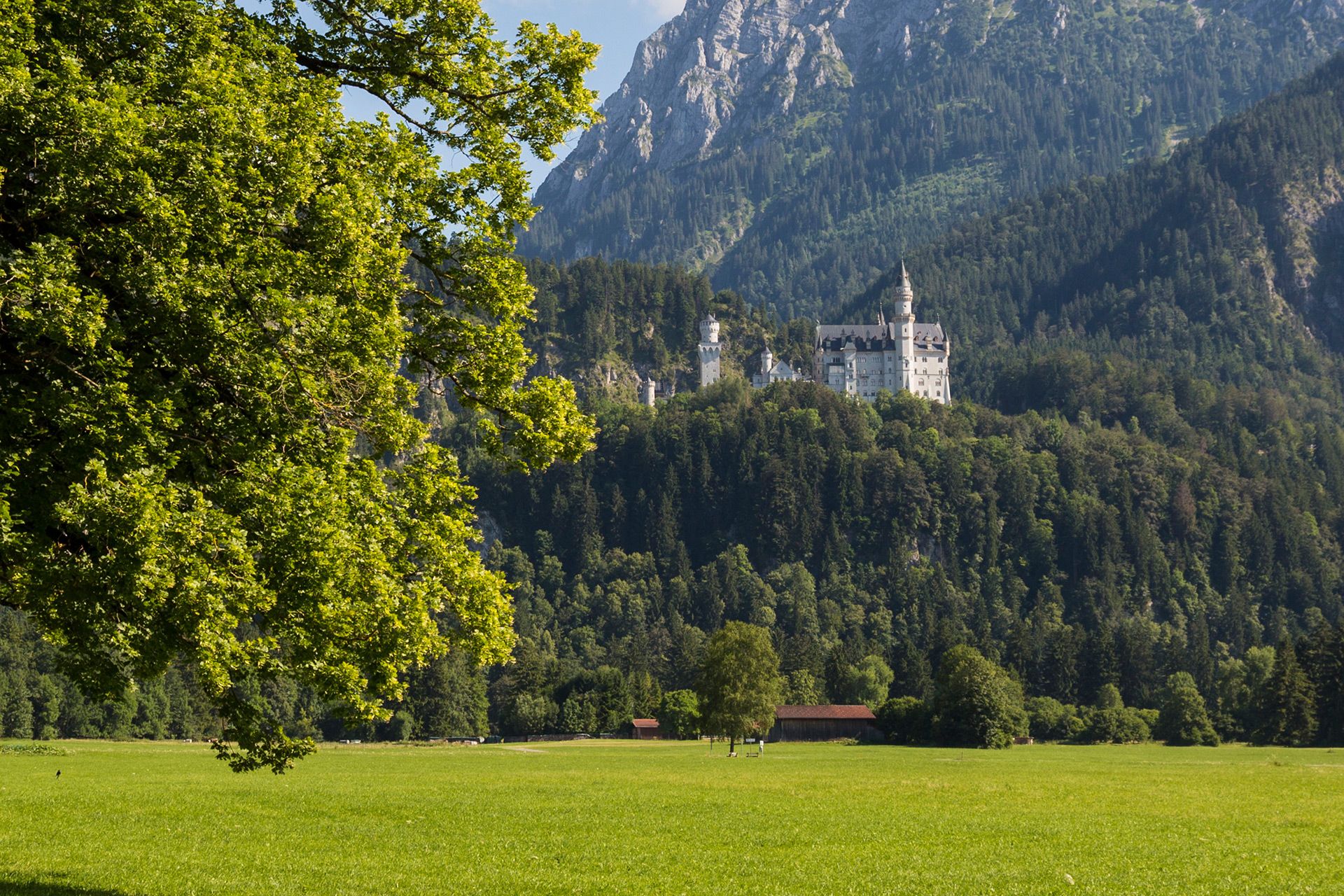 Lower view of Castle Neuschwanstein, Germany