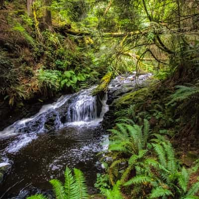 Ludlow Falls, USA