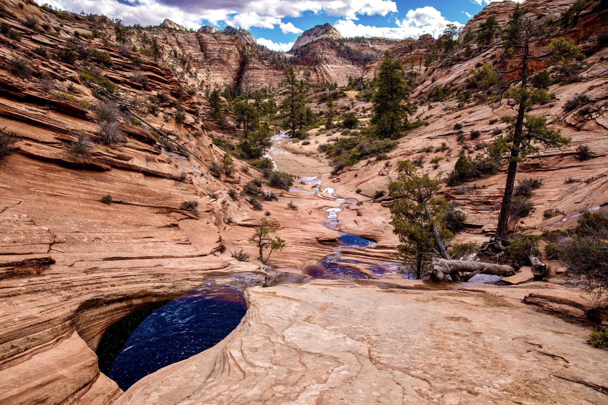 Many Pools, USA
