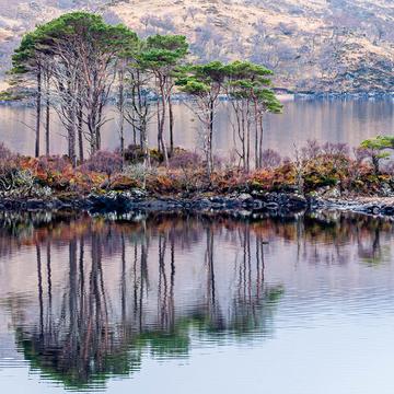 Mid Loch Assynt Layby and Islands, United Kingdom