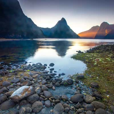 Milford Sound sunset with foreground  rock South Island, New Zealand