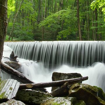 Mills Creek Trail Falls, USA