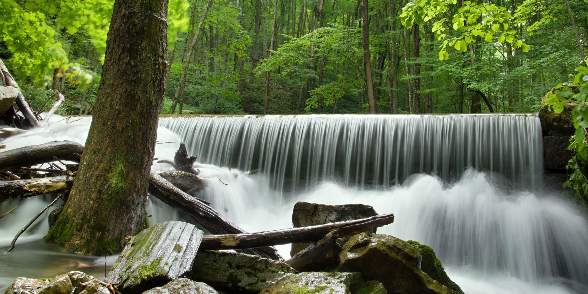 Mills Creek Trail Falls, USA