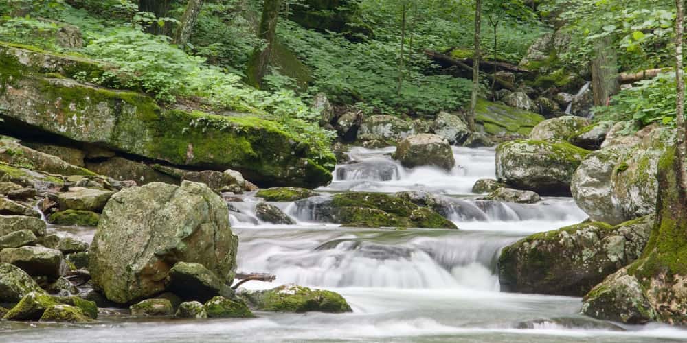 Mills Creek Trail Falls